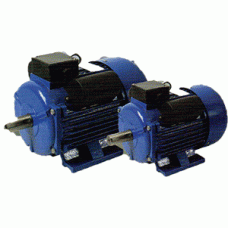 ELE-1/2 HP(600W) มอเตอร์เหล็กหล่ 220V ขนาด 1/2 HP ELE