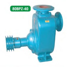 80BPZ-40 ปั๊มหอยโข่งพร้อมหน้าแปลน JINLONG