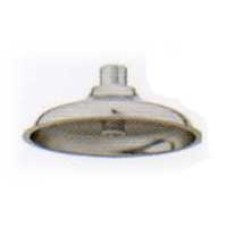 SP289SS ฝักบัวล้างตัวฉุกเฉิน HAWS