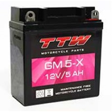 T421-GM5-X  แบตเตอรี่รถจักรยานยนต์แบบแห้ง  กำลังไฟ 12 โวลต์  TTW