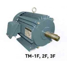TM-3F มอเตอร์ไฟฟ้า 3HP ไพโอเนีย PIONEER 