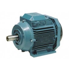 A141-2070 มอเตอร์ FOOT/FLANGE(B35) 3 Phase 2&4 Pole Induction Motor 4Hp ABB