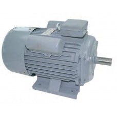 YC132SB-4 มอเตอร์ไฟฟ้า 2 สาย 5Hp TAYO